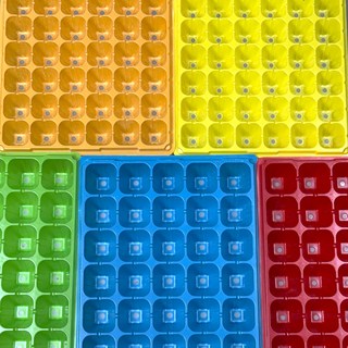 컬러모종판 72구 1박스(100개) 그린 블루 옐로우 오렌지 레드 컬러모종판 모종트레이 육묘판, 100개