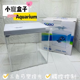 帥哥水族【SOBO 松寶】小寵盒子 M-B02 微型生態造景 桌面創意小缸 鬥魚缸 魚缸 水族箱 鬥魚盒 烏龜缸, 白色缸+造景水草(隨機）, 1個