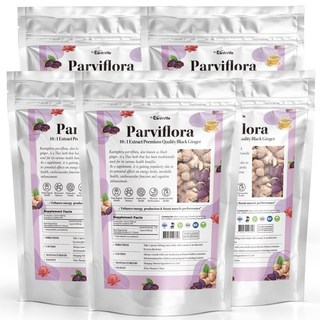 어스빌 파비플로라 벌크 100% 흑생강 대용량 추출물 가루 분말, 200g, 5개