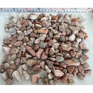 進口玫瑰石 桃紅石 鵝卵石 造景石頭 一包20公斤裝., 1個, 3分