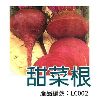 【醬米資材】DIY甜菜根種子 - 家庭園藝盆栽 體驗種植樂趣, 1個, 紫紅色