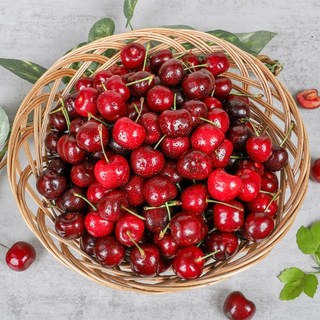 새콤달콤 체리 고당도 프리미엄 칠레산 10R 9.5R, 1박스, 300g (10R~10.5R)