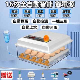 36枚全自動智能雙電源孵蛋機，雞鴨鵝鳥類通用，自動翻蛋控溫，帶照蛋功能, 1個, 16枚-自動翻蛋-自動控溫-雙電源-附大禮包