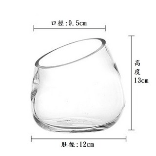 [微景小舖] 斜口 生態瓶 苔蘚生態瓶 diy 小玻璃瓶 玻璃花器 玻璃花盆 玻璃盆栽 園藝 園藝裝飾 水培植物 魚缸, 小號, 透明