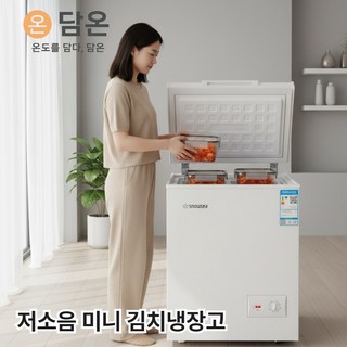 담온 저소음 고효율 미니 김치냉장고 쌀 소주 맥주 과일 냉동고, 퓨어화이트, 110L, 110S169