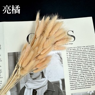 花藝夢*進口兔尾草 原裝販售 乾燥花 永生花 不凋花 乾燥花材 配花 台灣現貨 高CP值 迷你小花 配花 花束配花 必備, 亮橘