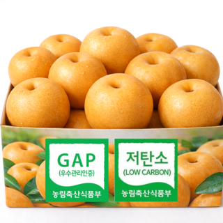 [200개 초특가!] 고당도 가정용 신고배 백화점납품농원, 1개, 3kg(혼합 6과 내외)_(오늘초특가!