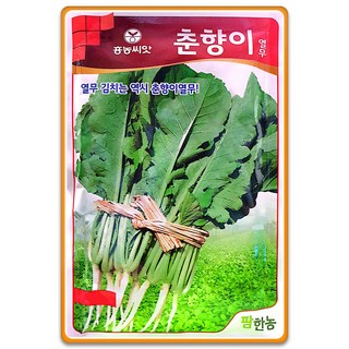 [팜앤리빙] 춘향이열무 씨앗 30g 여름열무 종자, 1개