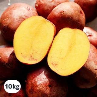 부자농원 100% 황토재배 햇 홍감자 전남 산지직송 카스테라 감자, 10kg(특상), 1개
