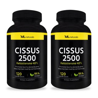 마이라이프 시서스 2500 120캡슐, 2개, 120정