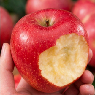 [하루50박스] 고당도 청송 부사사과 초특가, 1박스, 5kg, 소과