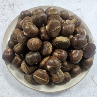 25년 햇 천진 칼집 약단밤, 500g, 1박스