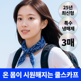 베리픽스 아이스 쿨링 넥쿨러 쿨스카프, 3개, 블루