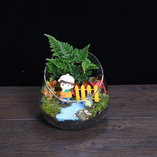 切口瓶苔蘚微景觀DIY材料包 創意玻璃球生態瓶擺件禮品植物套裝, 1個