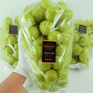 18brix 고당도선별 샤인머스켓 산지직송, 3kg (3~4수) 프리미엄 수출 등급, 1개