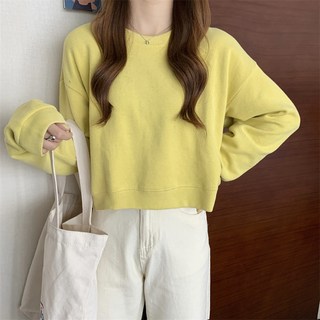 梨卡 女裝 長袖上衣 圓領棉質修身長袖打底T恤 WT025【現貨24H】