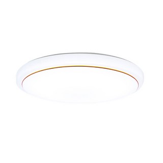 月樺燈飾 LED吸頂燈 臥室燈 客廳燈 書房燈 樓道燈 三色變光 無極調光, 60cm銀邊【6600lm】遙控-節能款