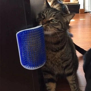 고양이 개 간식 발사기 자동 훈련장난감, 1개