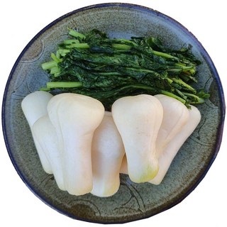 절인(절임) 알타리 (고객센터문의 010-5015-5716 ) 5kg, 2~3일 소요