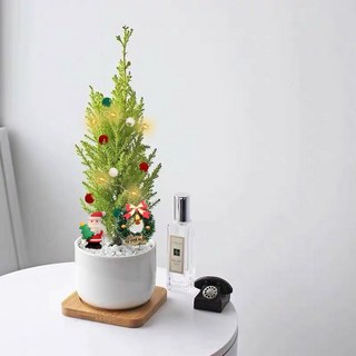 聖誕樹香鬆辦公室植物盆栽，DIY桌面綠植擺件，聖誕節室內裝飾禮物, 1個, 聖誕老人+香鬆+白瓷盆+草圈+燈+綵球