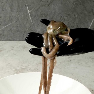 오늘잡은 목포 중소낙지 20마리 국산 산낙지 무안 낙지 신안 뻘낙지 볶음, 20개, 70g 전후