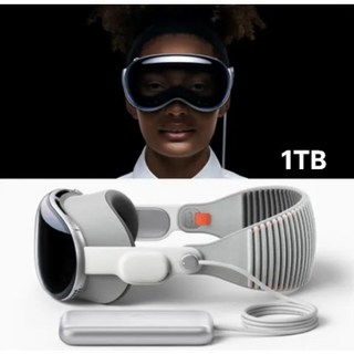 애플 비전 프로 1TGB 모델