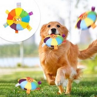 강아지 원반 장난감 애견 훈련 용품 터그 놀이 야외 활동((본 상품은 1+1옵션으로 주문하신 수량의 2배 수량으로 배송)), 1개, 믹스