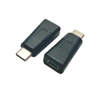 Mini USB 轉 Typec 母轉公 導航接頭 行車紀錄器 迷你轉接頭, 1個, Typec公 轉 Mini USB母