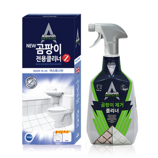 아스토니쉬 NEW 곰팡이 전용 클리너 Z, 750ml, 2개