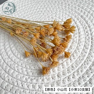 大地農園 矢車菊 小山花 乾燥花 10支裝 馬蘭菊 小雛菊 永生花 花藝 DIY手作 插花 花束, 【原色】小山花【小束10支裝】