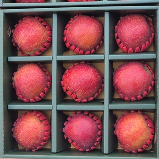 [명절초특가행사] 명품부사 초고당도 특품 사과선물세트, 1개, 3kg(중과)