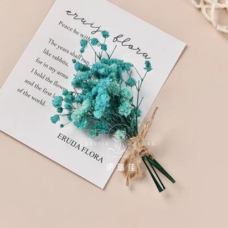 幹花牆面裝飾掛件：真花鬆果樹枝植物標本，高級感牆飾貼，背景牆裝飾，提升居家品味, F-29