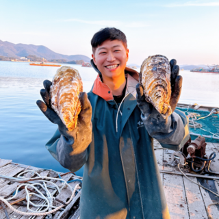 파도스토리 산지직송 통영 삼배체굴, 1세트, 3kg (10미내외)