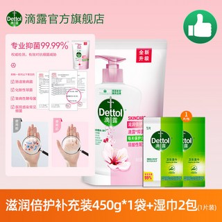 滴露抑菌洗手液450g補充裝 袋裝替換裝 兒童滋潤成人家庭用, 1個, 【體驗款】補充袋裝*1袋+殺菌巾2包