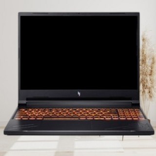 에이서 2024 니트로 V 16 게이밍 노트북