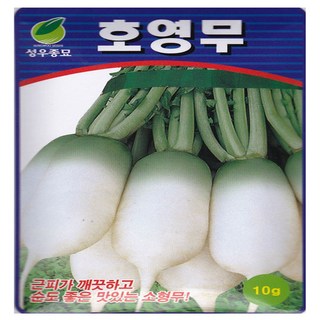 영농사 호영무 씨앗 10g 잎이 짧은 동치미 김장무씨, 호영소형김장무, 2개