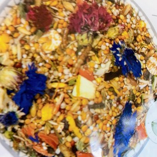 【三隻小豬寵物用品】德國邦尼 Bunny 夢想倉鼠飼料 倉鼠主食, 1個, 無糖蔬菜配方 50g-分裝包