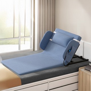 자바조이 전동 등받이 허리받침대 노인 모션베드 각도조절 침대 팔걸이, 블루