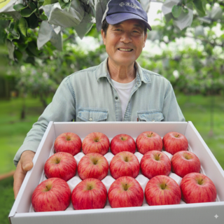 [상위1% 생산자직송] 최상급 경북 청송 정품 사과 부사, 1박스, 5kg 대과 (12-16과)