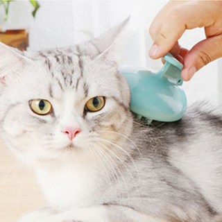 [LD]탁펫 애완동물 마사지 실리콘 브러쉬 민트, 1개