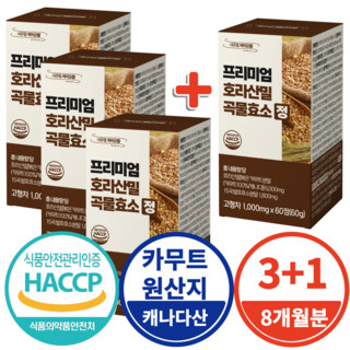 프리미엄 카무트효소 호라산밀 곡물효소 식약처 Haccp 인증 1000mg, 4개, 60정