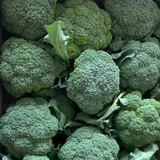 제주울엄마 직접 농사지은 브로콜리, 1개, 1kg