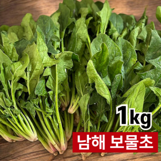 해풍 맞은 청정 남해 포항 시금치 노지, 1박스, 1kg