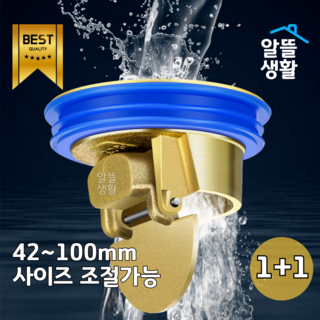 알뜰생활 하수구 황동 트랩 냄새 벌레 악취 반영구 차단, 2개
