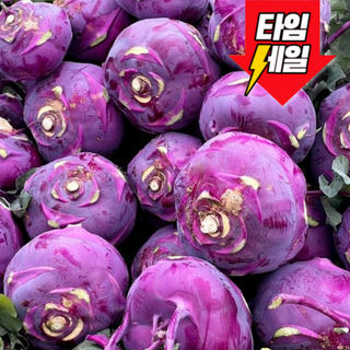 [제주직송]해풍맞고자란 시원아삭 엄격선별 제주 콜라비, 2kg, 1개