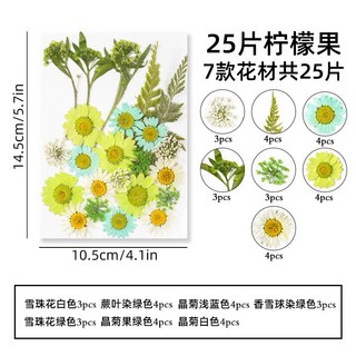 中花包組合 真花壓花 永生花 森林系少女寫真 壁畫 DIY水晶滴膠 乾燥花 植物標本, 9.25片檸檬果