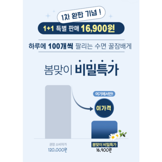 원플러스원 명품 [1+1]호텔베개 힐튼호텔 다운 퀼팅 다운 낮은베개 푹신한 배게 꿀잠 가성비 아이유자형 베개, 2개, 화이트