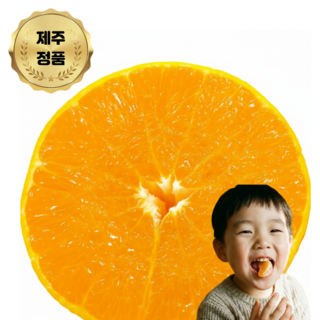 [맛없으면반품가능] 백화점납품용 입안과즙팡팡 벌꿀 황금향, 1박스, 2kg