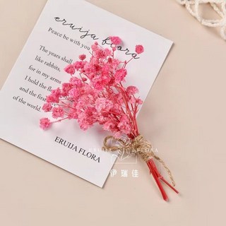 幹花墻面裝飾牆上掛件，高級感真花鬆果樹枝植物標本，背景牆墻飾貼墻, F-30