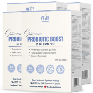 [캐나다본사 빠른직구] 베스타 프로바이오틱스 500억 CFU 고함량 유산균 60캡슐 2개월분 보장균수 500억, 4박스, 60정